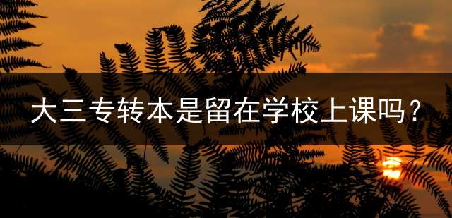 大三专转本是留在学校上课吗？