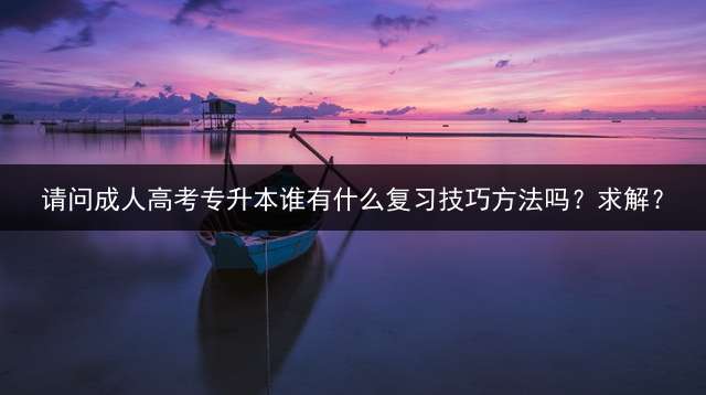 请问高考专升本谁有什么复习技巧方法吗？求解？