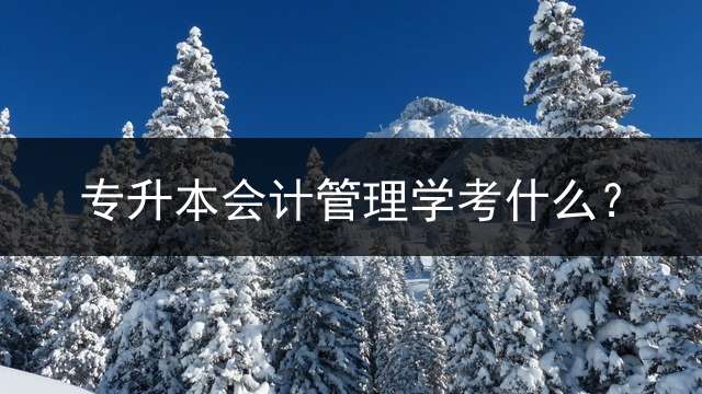 专升本会计管理学考什么？