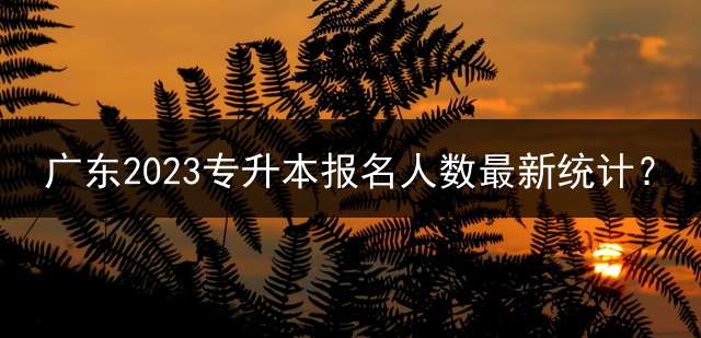 广东2023专升本报名人数最新统计？