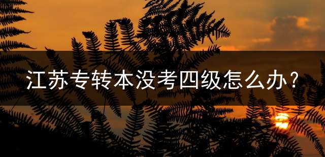 江苏专转本没考四级怎么办？