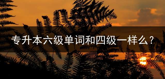 专升本六级单词和四级一样么？