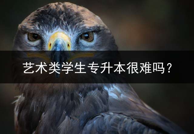 艺术类学生专升本很难吗？