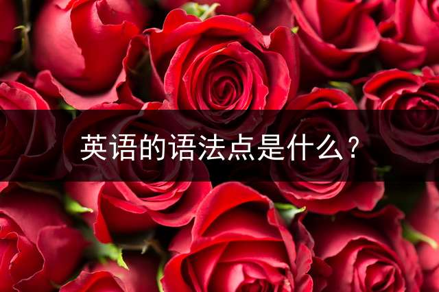 英语的语法点是什么？