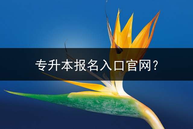 专升本报名入口官网？