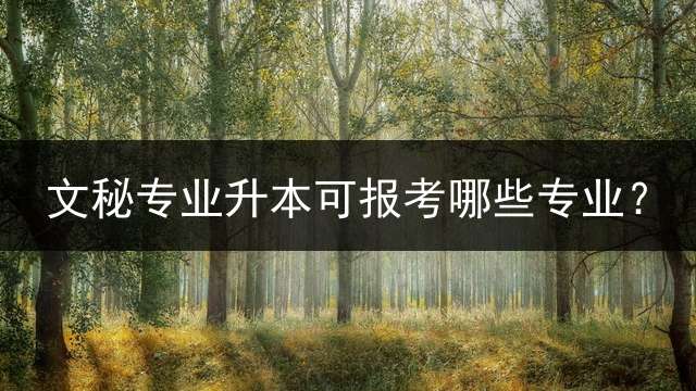 文秘专业升本可报考哪些专业？