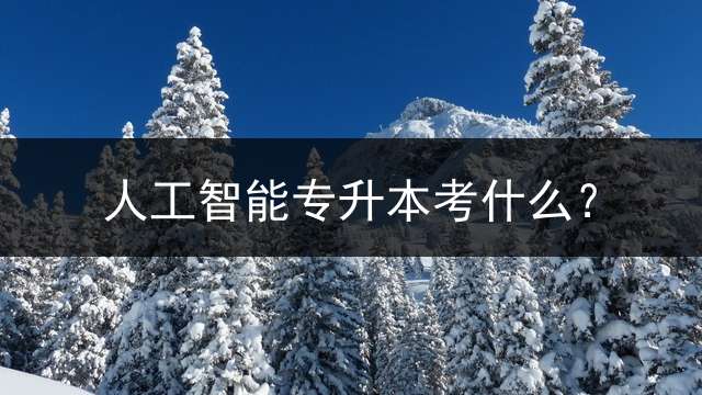 人工智能专升本考什么？