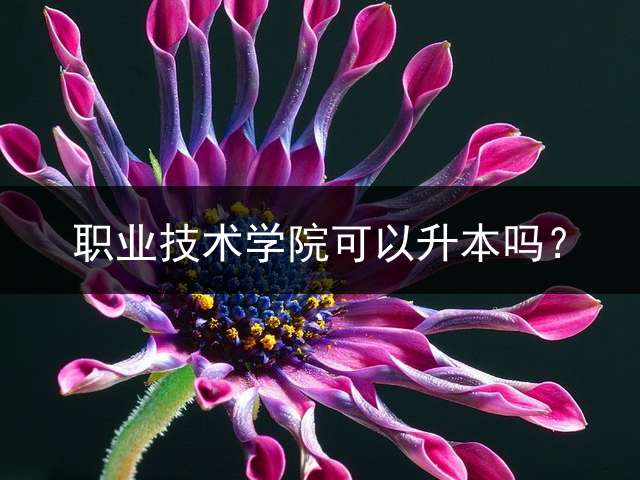 职业技术学院可以升本吗？