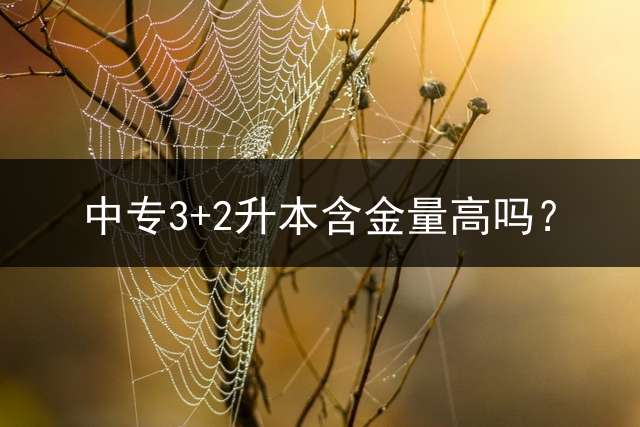 中专3+2升本含金量高吗？