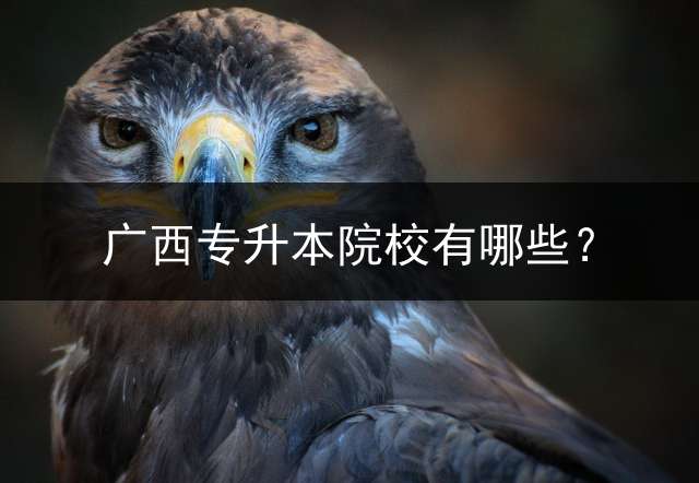 广西专升本院校有哪些？