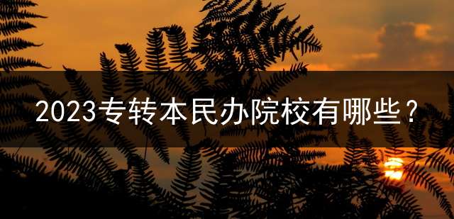 2023专转本民办院校有哪些？