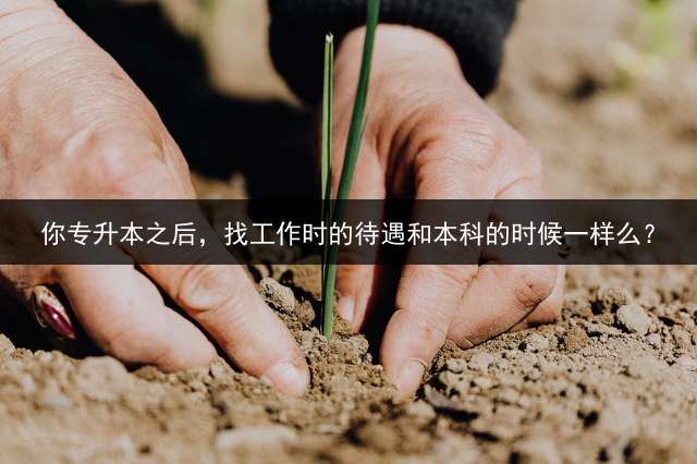 你专升本之后，找工作时的待遇和本科的时候一样么？