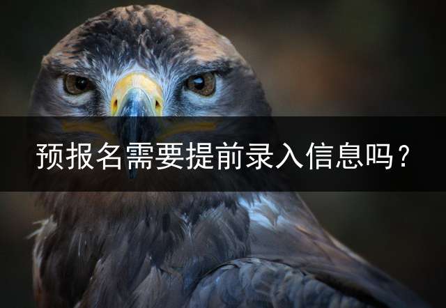 预报名需要提前录入信息吗？