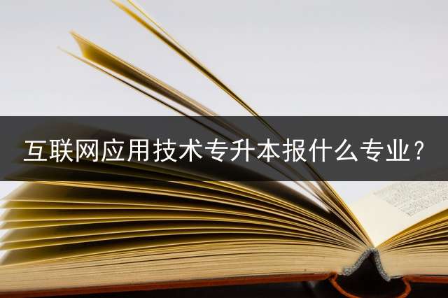 互联网应用技术专升本报什么专业？