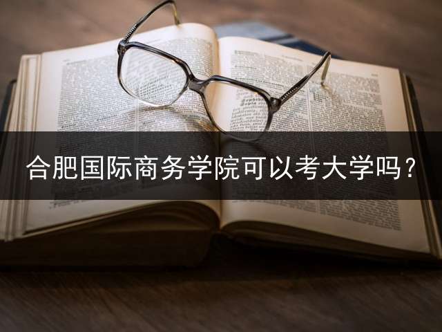 合肥国际商务学院可以考大学吗？