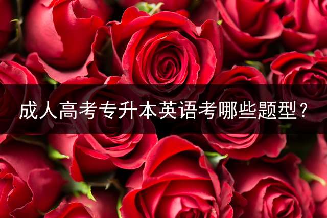 高考专升本英语考哪些题型？
