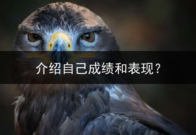 介绍自己成绩和表现？