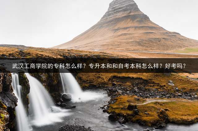 武汉工商学院的专科怎么样？专升本和和自考本科怎么样？好考吗？