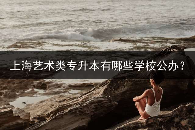 上海艺术类专升本有哪些学校公办？