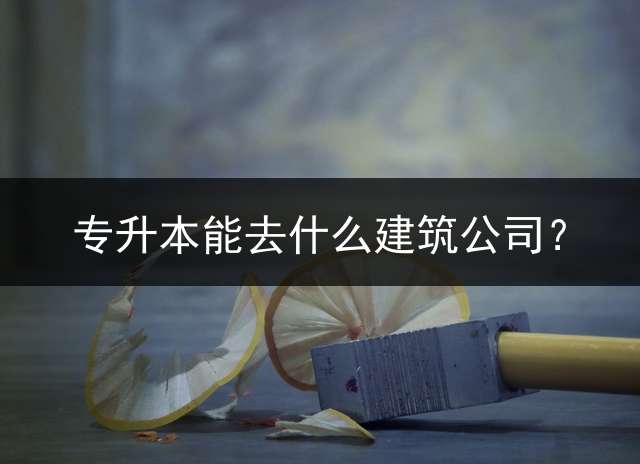 专升本能去什么建筑公司？