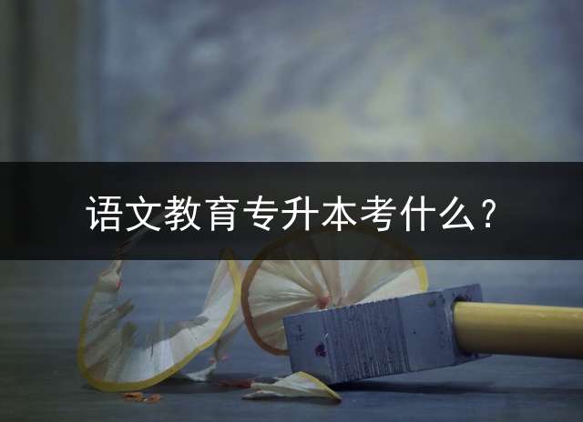 语文教育专升本考什么？