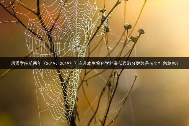 昭通学院前两年（2019、2019年）专升本生物科学的最低录取分数线是多少? 急急急？