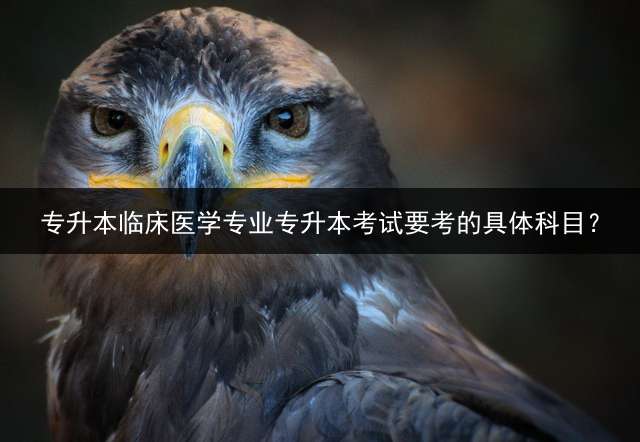 专升本临床医学专业专升本考试要考的具体科目？