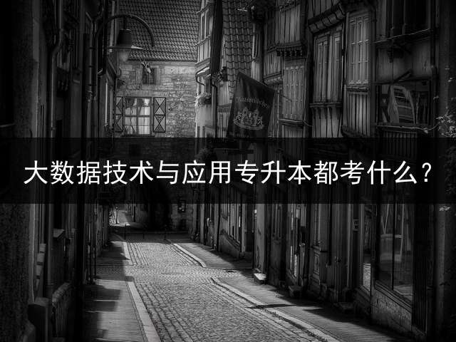 大数据技术与应用专升本都考什么？