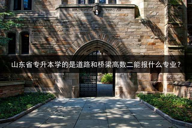山东省专升本学的是道路和桥梁高数二能报什么专业？
