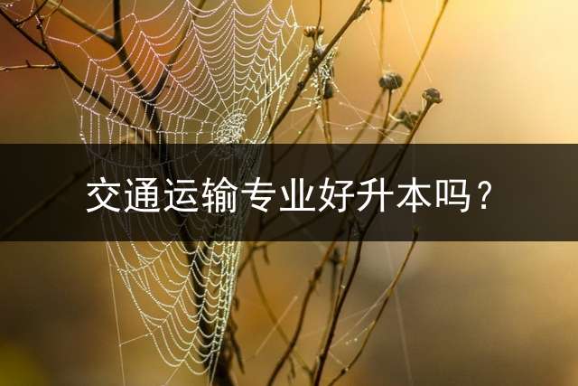 交通运输专业好升本吗？