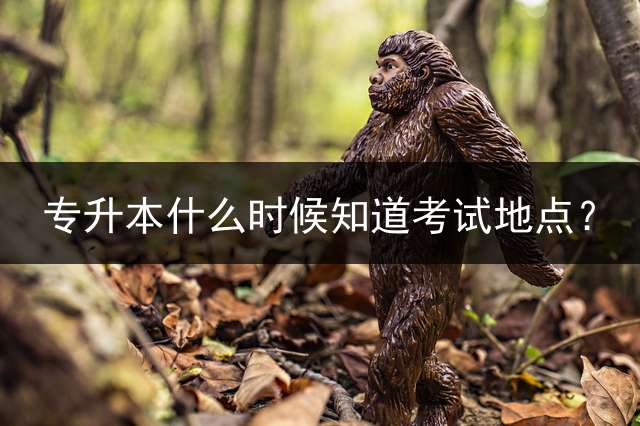 专升本什么时候知道考试地点？ (四川哪些学校可以专升本？)