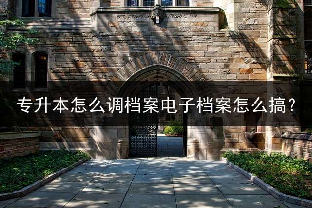专升本怎么调档案电子档案怎么搞？