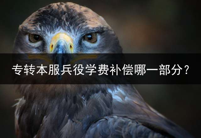 专转本服兵役学费补偿哪一部分？