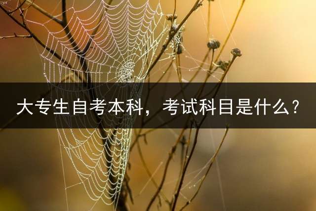大专生自考本科，考试科目是什么？