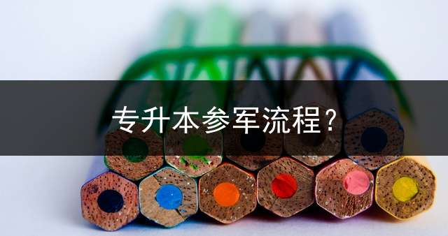 专升本参军流程？
