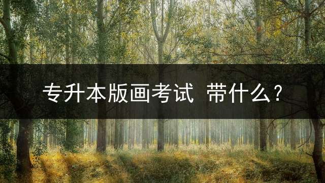 专升本版画考试 带什么？