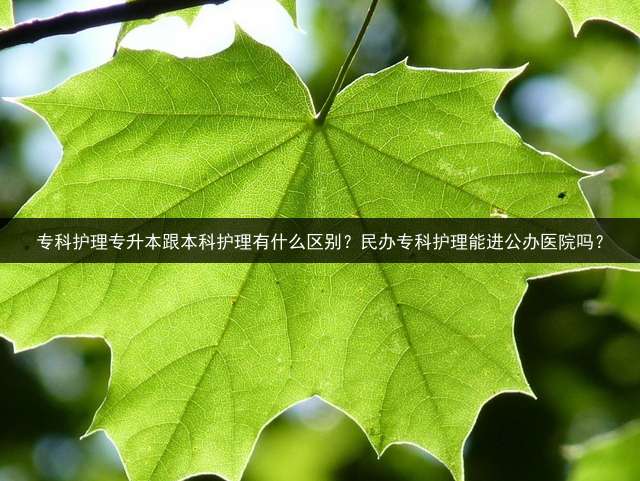 专科护理专升本跟本科护理有什么区别？民办专科护理能进公办医院吗？