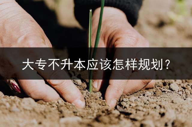 大专不升本应该怎样规划？