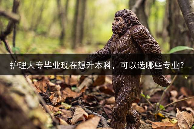 护理大专毕业现在想升本科，可以选哪些专业？