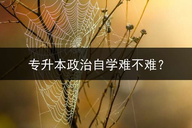 专升本政治自学难不难？