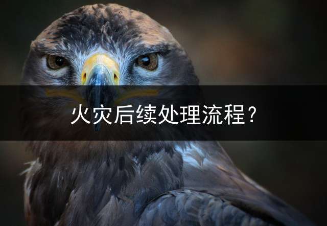 火灾后续处理流程？