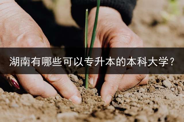 湖南有哪些可以专升本的本科大学？