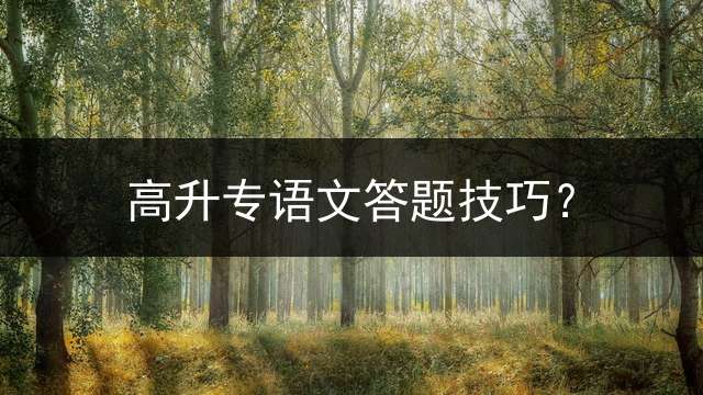 高升专语文答题技巧？