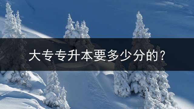 大专专升本要多少分的？