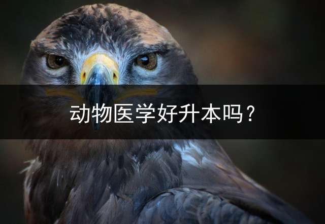 动物医学好升本吗？