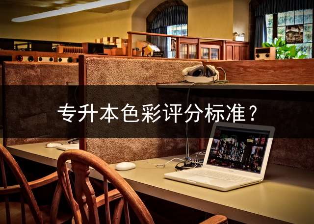 专升本色彩评分标准？ (专接本速写可以画线描吗？)