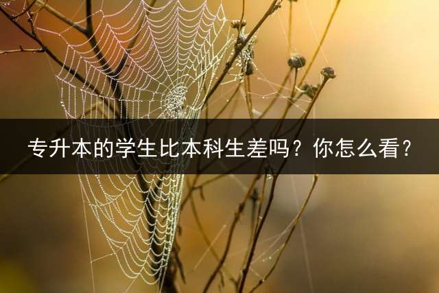 专升本的学生比本科生差吗？你怎么看？