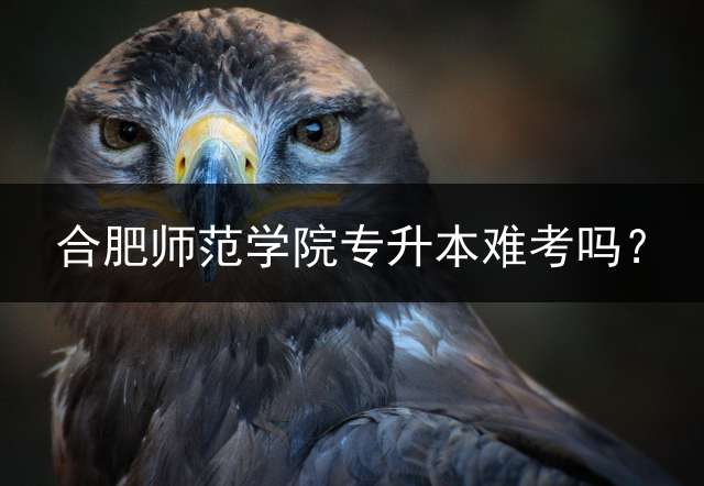 合肥师范学院专升本难考吗？