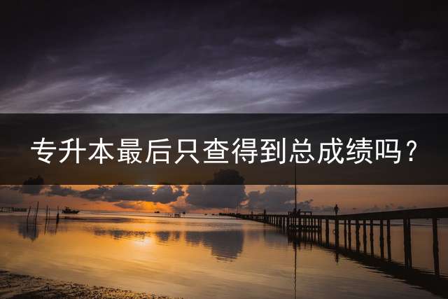 专升本最后只查得到总成绩吗？