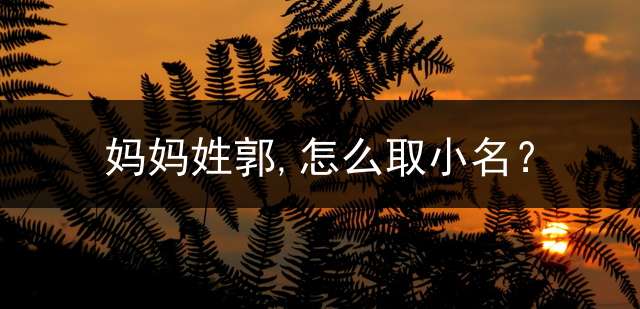 妈妈姓郭,怎么取小名？